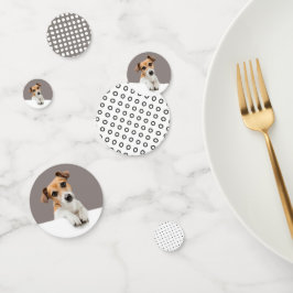 Jack Russell Puppy Sweet Adsible Baby Russell