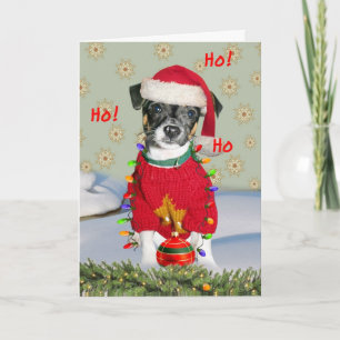 Jack Russell Råtta Terrier Mix God jul Helgkort