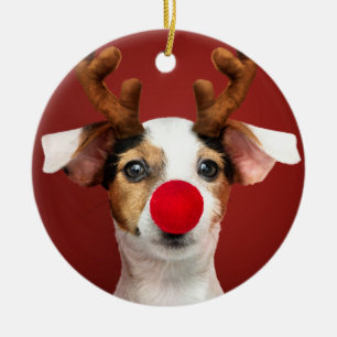 Jack Russell Reindeer Julgransprydnad Keramik