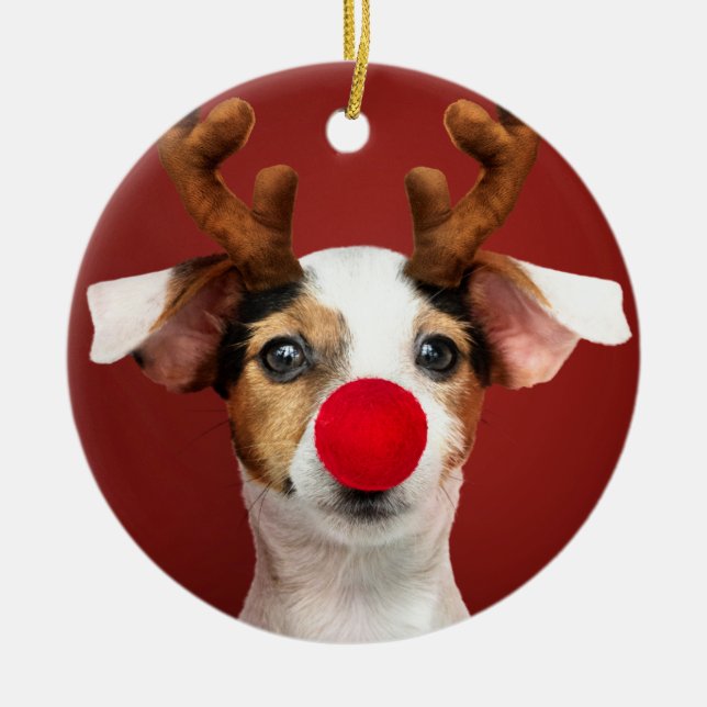 Jack Russell Reindeer Julgransprydnad Keramik (Framsidan)