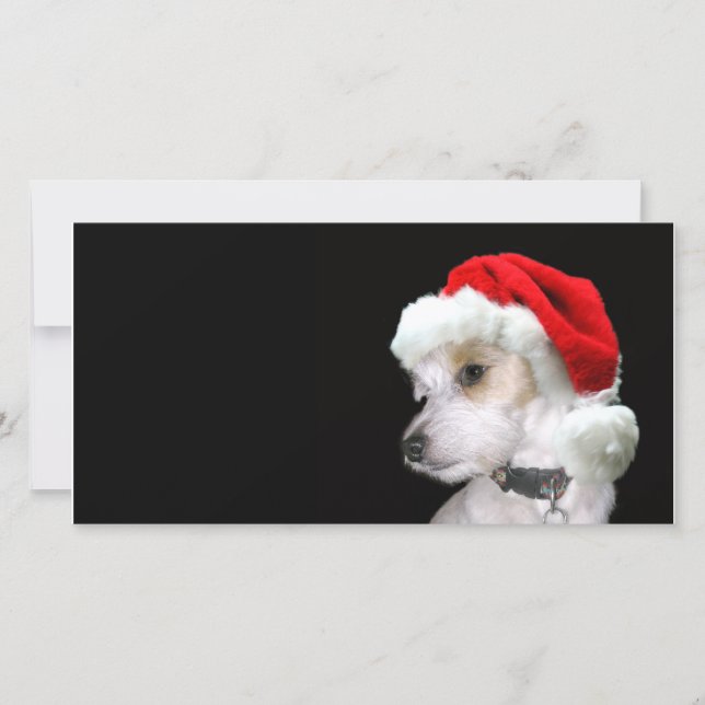 Jack Russell Santa Julkort (Framsida)