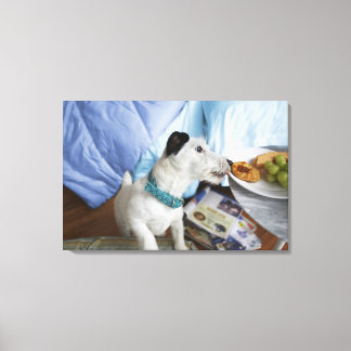 Jack Russell skräckare. 2 Canvastryck