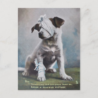 Jack Russell skräcker Vykort