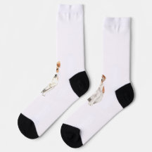 Jack Russell-sockor