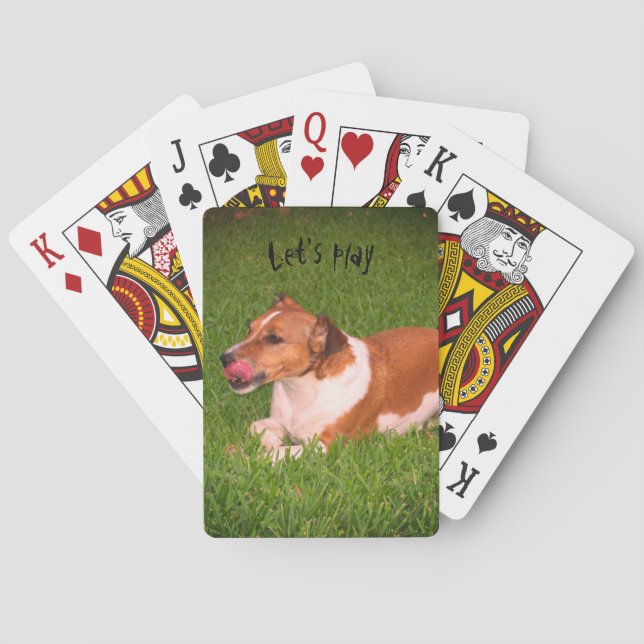 Jack Russell som leker kort Spel Kort (Baksidan)