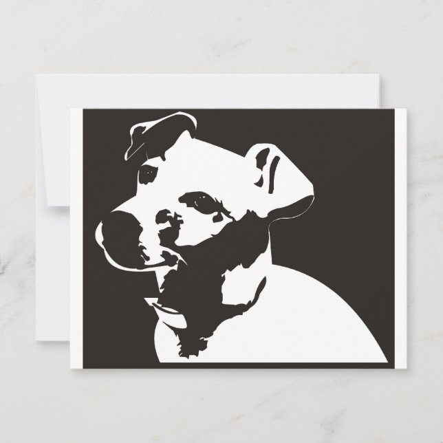 Jack Russell Terrier (Framsida)
