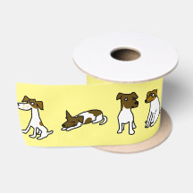Jack Russell Terrier