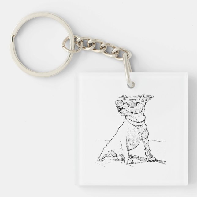 Jack Russell Terrier  (Framsidan)