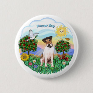 Jack Russell Terrier 1 (1) Knapp