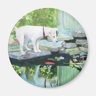 Jack Russell Terrier #1 Magnet