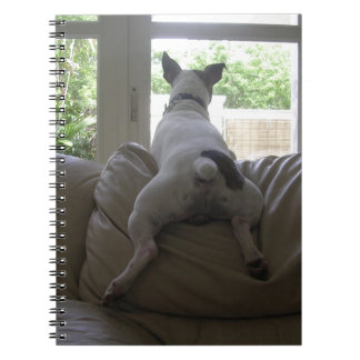 Jack Russell Terrier Anteckningsbok