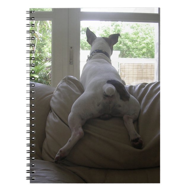 Jack Russell Terrier Anteckningsbok (Framsidan)