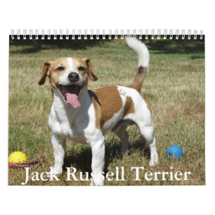 Jack Russell Terrier Calendar Kalender