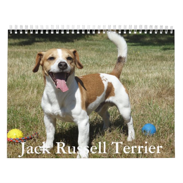 Jack Russell Terrier Calendar Kalender (Omslag)