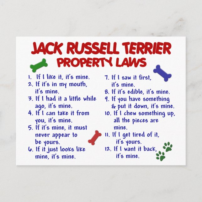 JACK RUSSELL TERRIER Egendom LAGSTIFTNING 2 Vykort (Framsida)