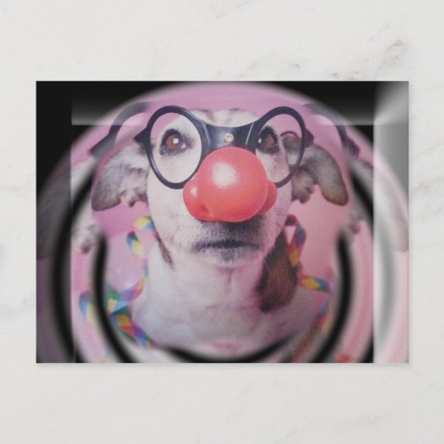 Jack Russell Terrier Grattis på födelsedagen Crazy Vykort (Framsida)