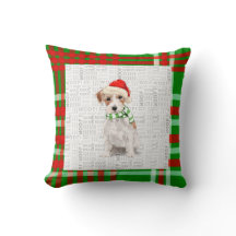 Jack Russell Terrier Helgdag Play-Hund