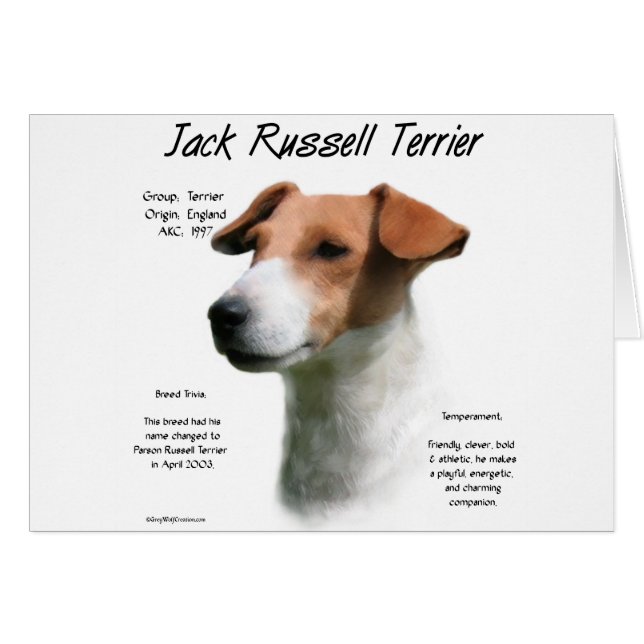 Jack Russell Terrier History Hälsningskort (Framsidan Horizontal)