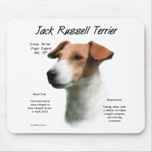 Jack Russell Terrier History Musmatta