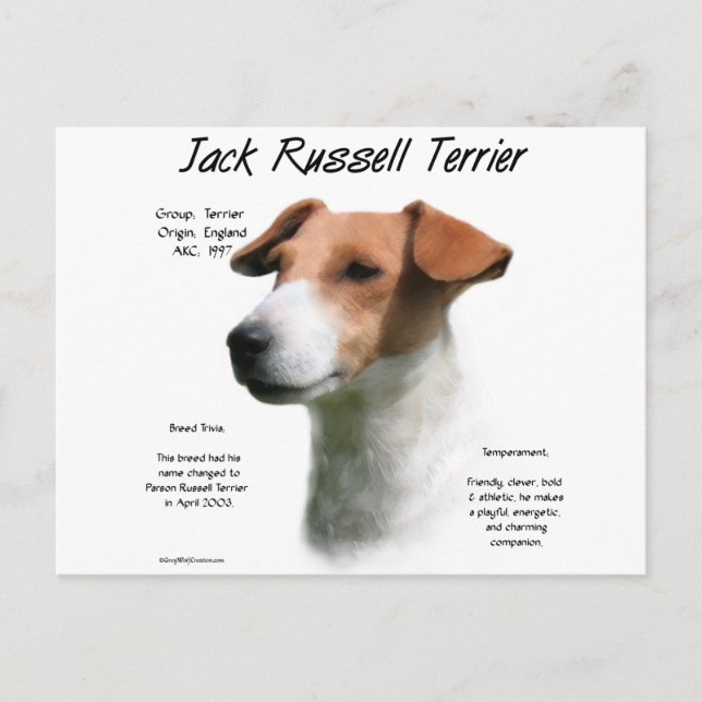 Jack Russell Terrier History Vykort (Framsida)