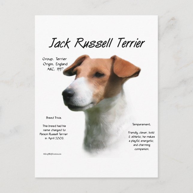 Jack Russell Terrier History Vykort (Framsida)
