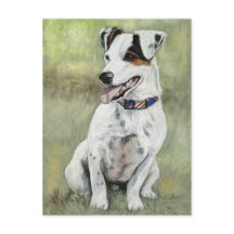 Jack Russell Terrier Hund Art Postcard