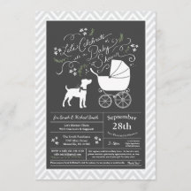 Jack Russell Terrier Hund Baby Shower