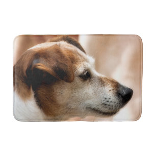 JACK RUSSELL TERRIER HUND BADRUMSMATTA