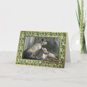 Jack Russell Terrier Hund Blank julkort Helgkort