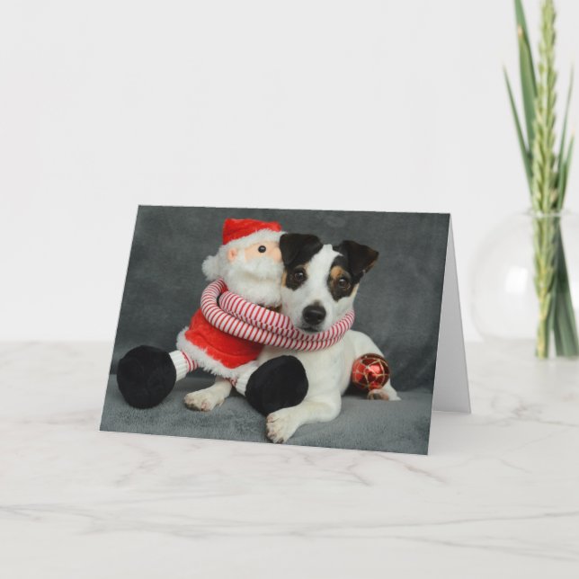 Jack Russell Terrier Hund Helgkort (Framsida)