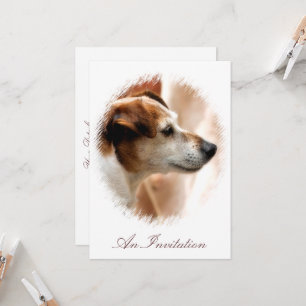 JACK RUSSELL TERRIER HUND INBJUDNINGAR