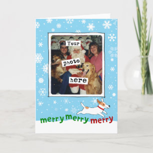 Jack Russell Terrier Hund Jul Ditt foto Helgkort