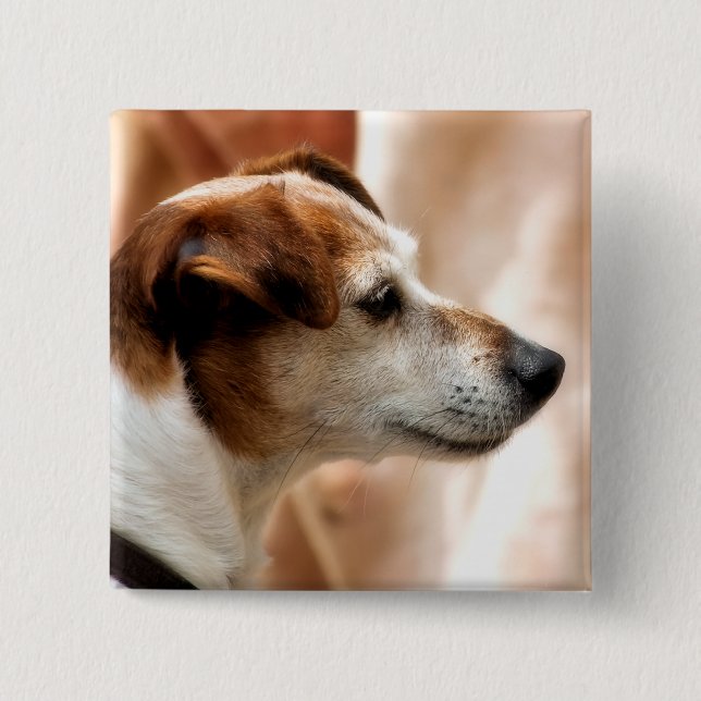 JACK RUSSELL TERRIER HUND KNAPP (Framsida)