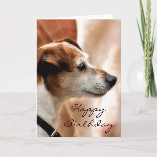 JACK RUSSELL TERRIER HUND KORT (Framsida)