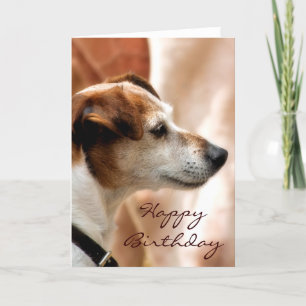JACK RUSSELL TERRIER HUND KORT
