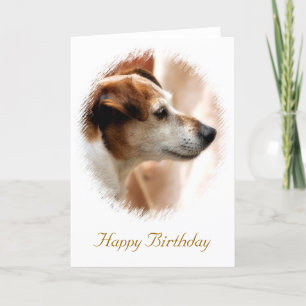 JACK RUSSELL TERRIER HUND KORT