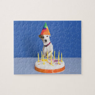Jack Russell Terrier hund med party hat Pussel