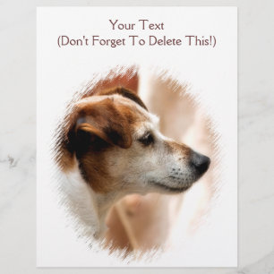 JACK RUSSELL TERRIER HUND REKLAMBLAD