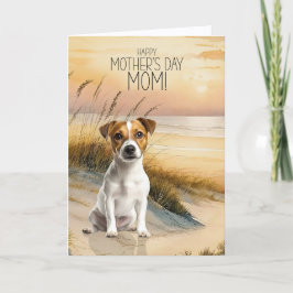 Jack Russell Terrier Hund Solnedgång Strand Mors D Helgkort
