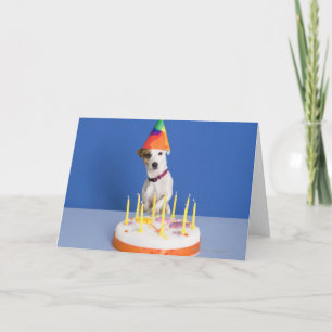 Jack Russell Terrier hund som bär festhatt Kort