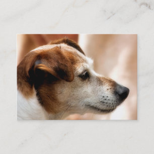 JACK RUSSELL TERRIER HUND VISITKORT