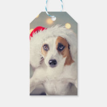 Jack Russell Terrier i ett julhatt Gift-kort