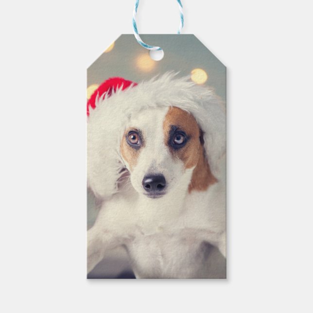 Jack Russell Terrier i ett julhatt Gift-kort Presentetikett (Framsidan)