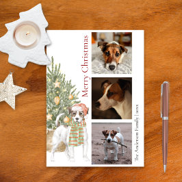 Jack Russell Terrier Julgran Pet Hund Photo Julkort