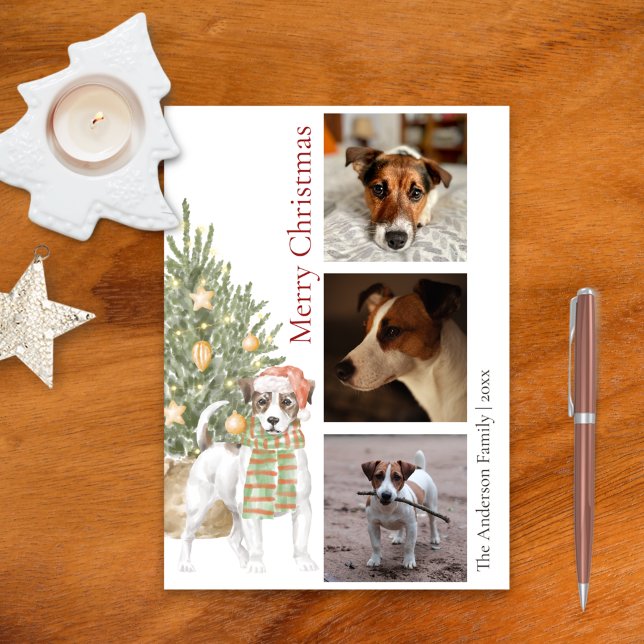 Jack Russell Terrier Julgran Pet Hund Photo Julkort (Skapare uppladdad)