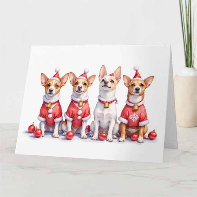 Jack Russell Terrier Julklänning Tomtehatt Kort (Framsida)