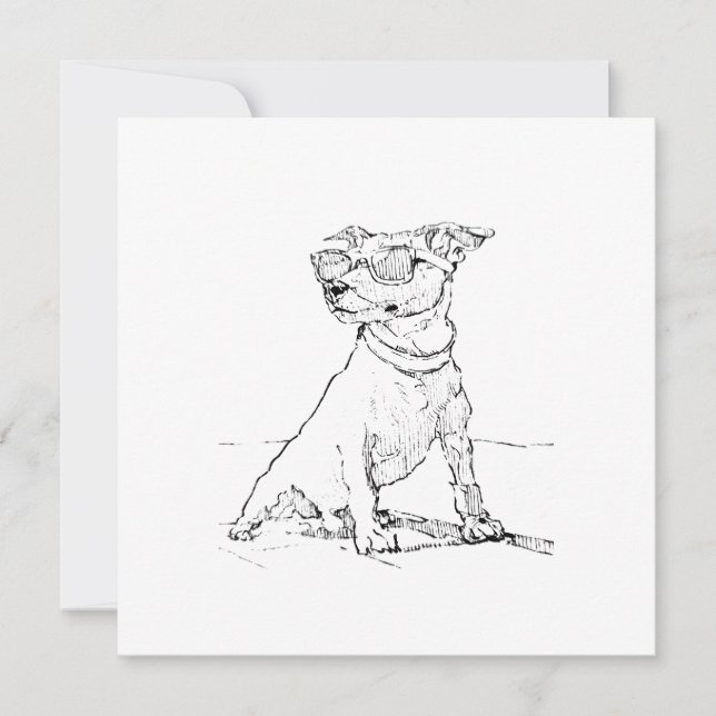 Jack Russell Terrier  Julkort (Framsida)