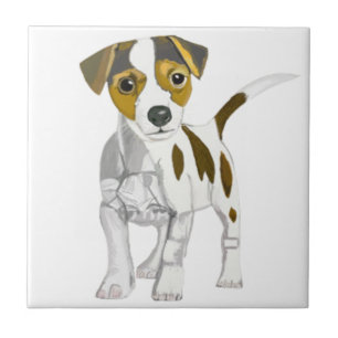 Jack Russell Terrier Kakelplatta