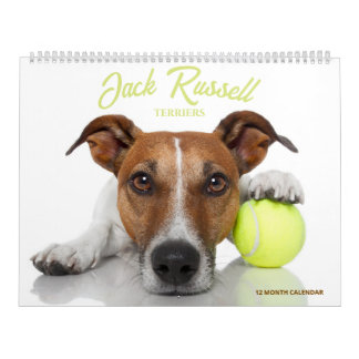 Jack Russell Terrier Kalender