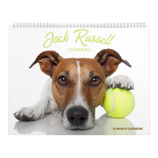 Jack Russell Terrier Kalender (Omslag)